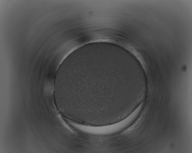 X0000093481377200710191157