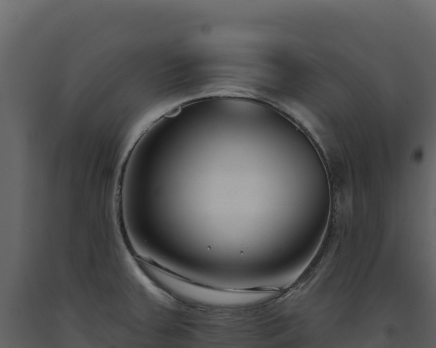 X0000093481379200710191157