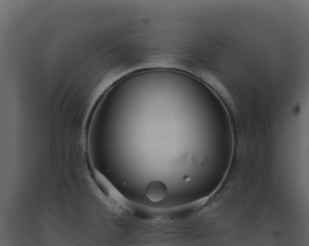 X0000093481380200710191157