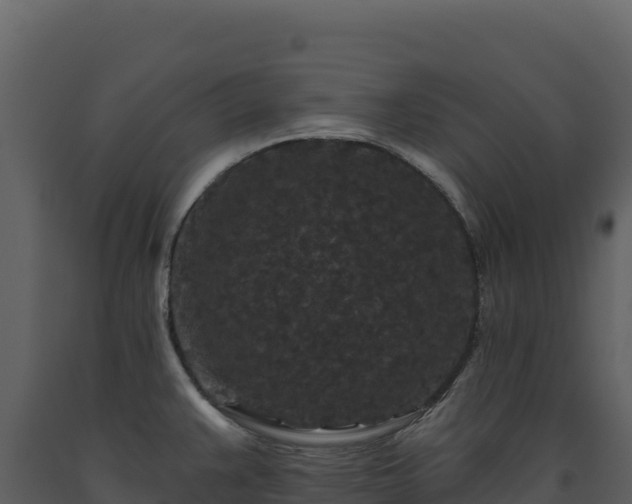 X0000093481383200710191157