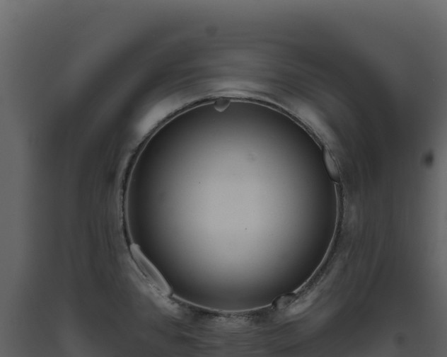 X0000093481384200710191157