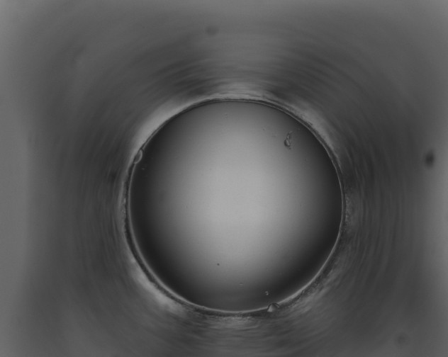 X0000093481387200710191157