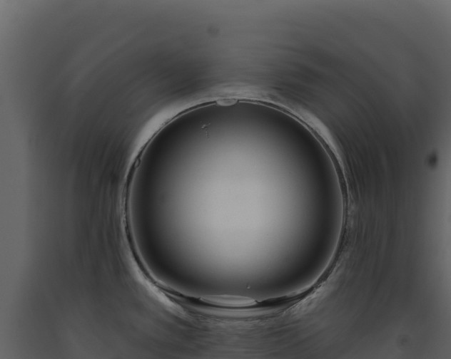 X0000093481389200710191157