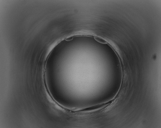 X0000093481390200710191157