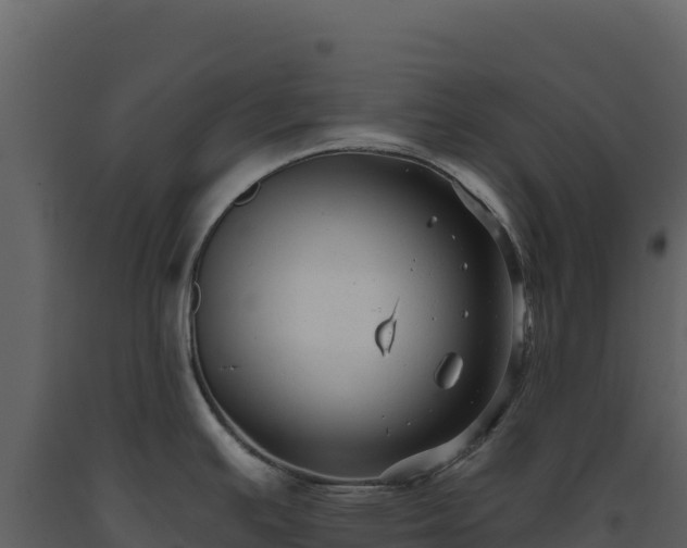 X0000093481391200710191157