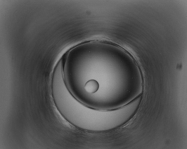 X0000093481392200710191157