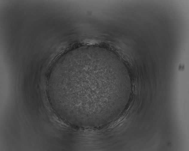 X0000093481393200710191156