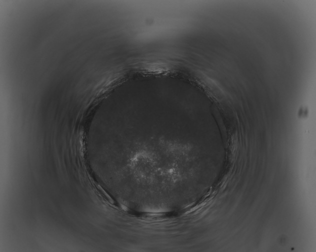 X0000093481394200710191156