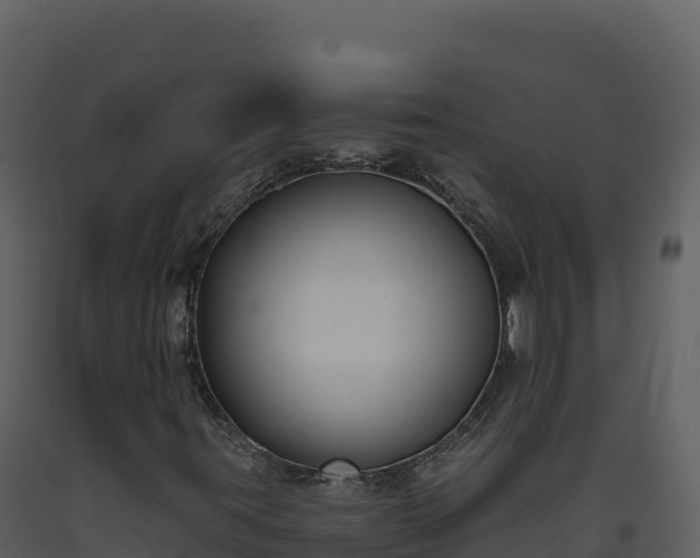 X0000093481395200710191156