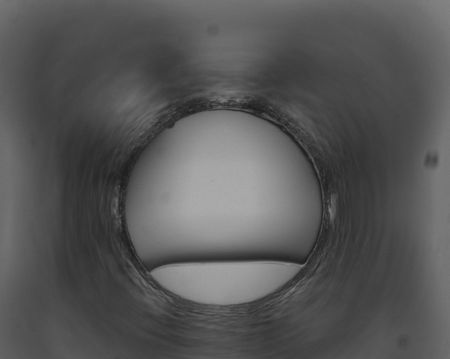 X0000093481396200710191156