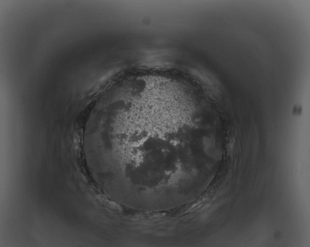 X0000093481397200710191156
