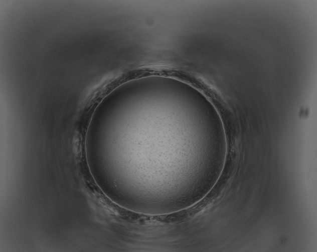X0000093481398200710191156