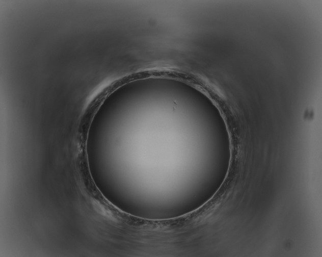X0000093481400200710191156