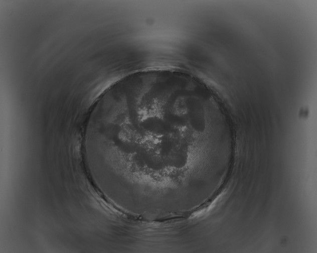 X0000093481401200710191156
