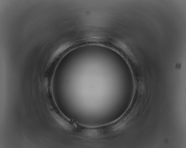 X0000093481402200710191156