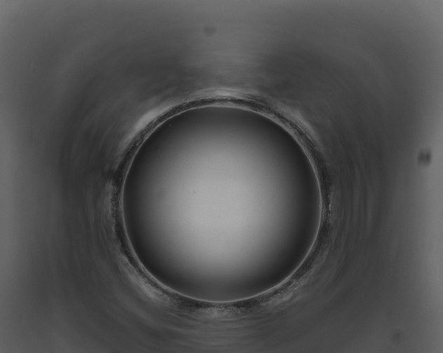 X0000093481404200710191157