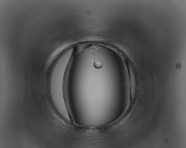X0000093481406200710191157