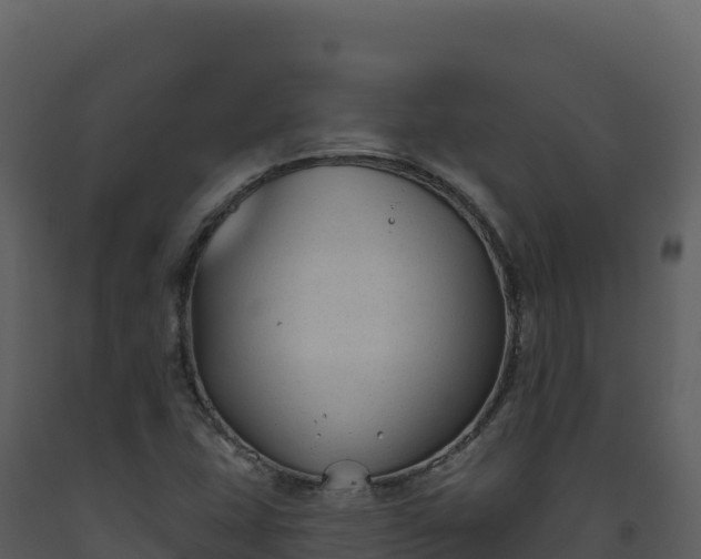 X0000093481407200710191157