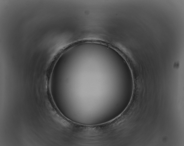 X0000093481408200710191157