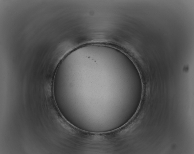 X0000093481409200710191157