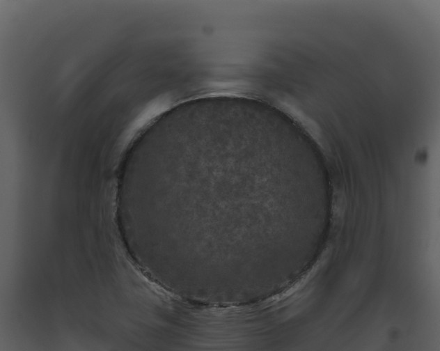 X0000093481411200710191157