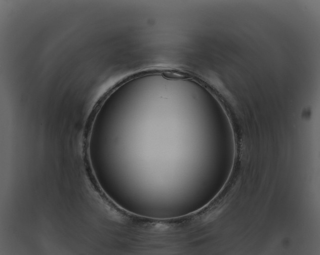 X0000093481412200710191157