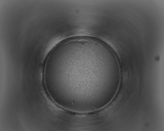 X0000093481415200710191157