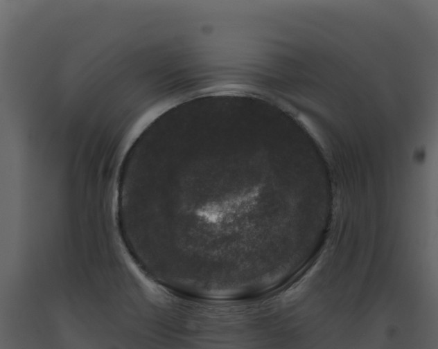 X0000093481418200710191157