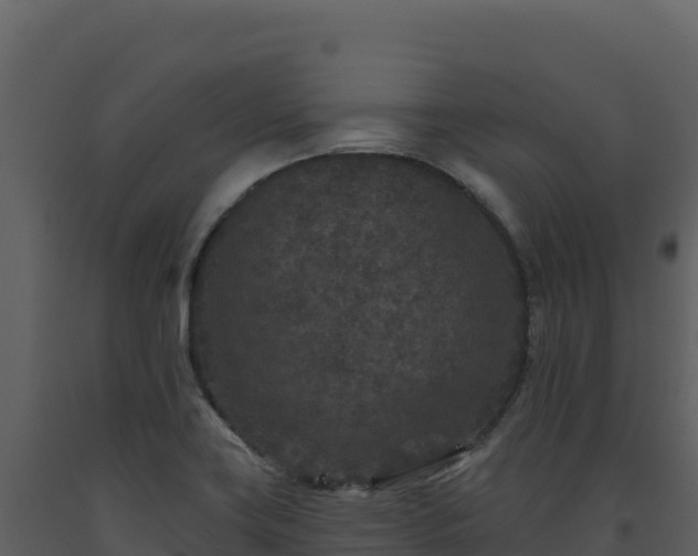 X0000093481419200710191157