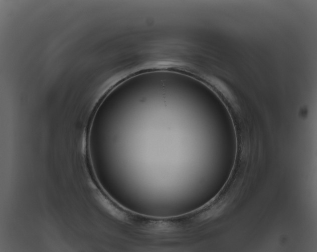 X0000093481420200710191157