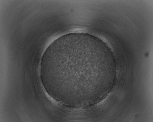 X0000093481421200710191157