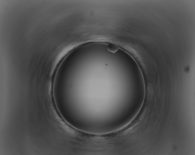X0000093481424200710191157