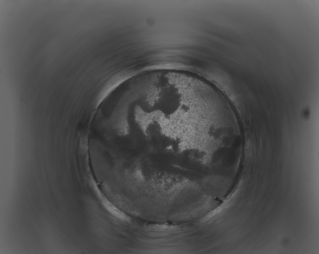 X0000093481425200710191157