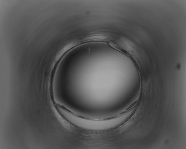 X0000093481426200710191157