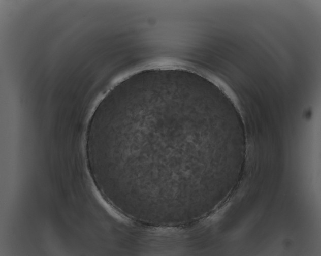 X0000093481429200710191157