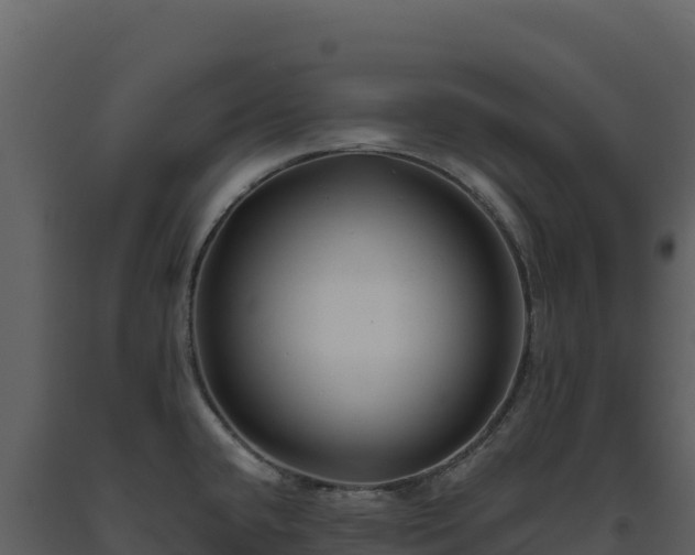 X0000093481432200710191157