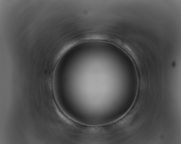 X0000093481433200710191157