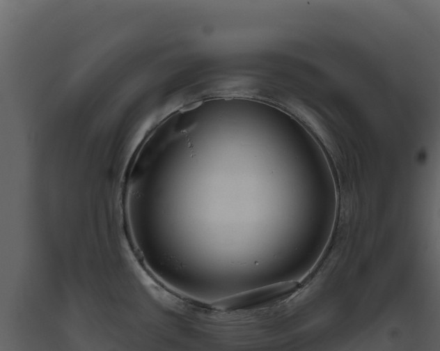 X0000093481434200710191157
