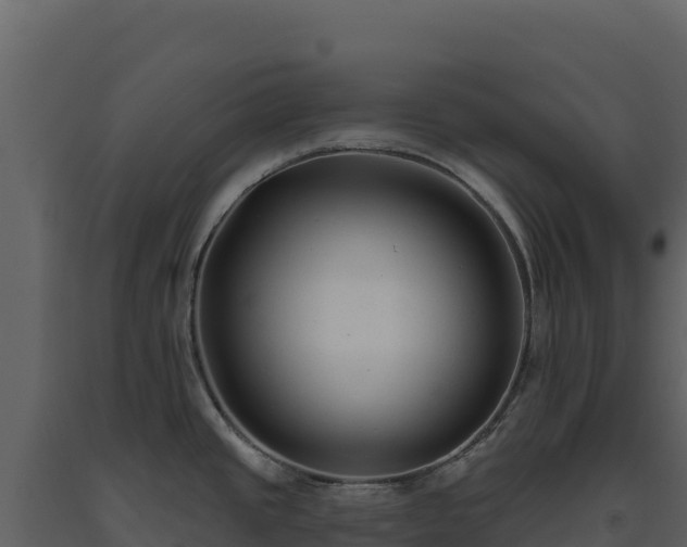 X0000093481437200710191157