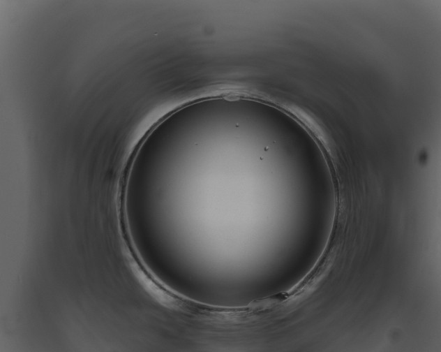 X0000093481438200710191157