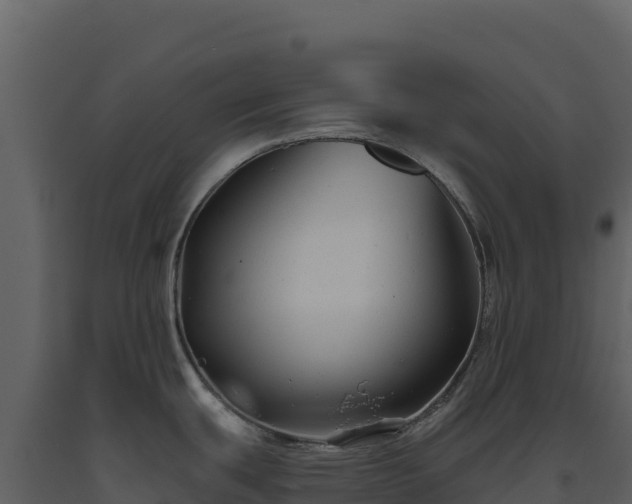 X0000093481439200710191157