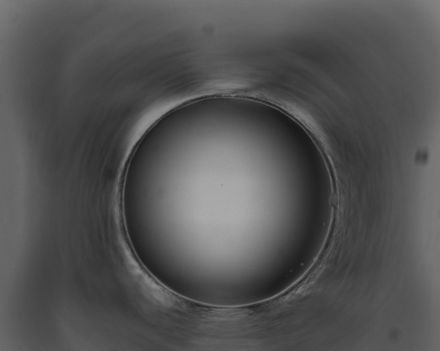 X0000093481440200710191157