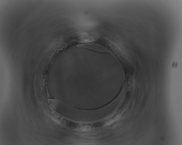 X0000093481441200710191156