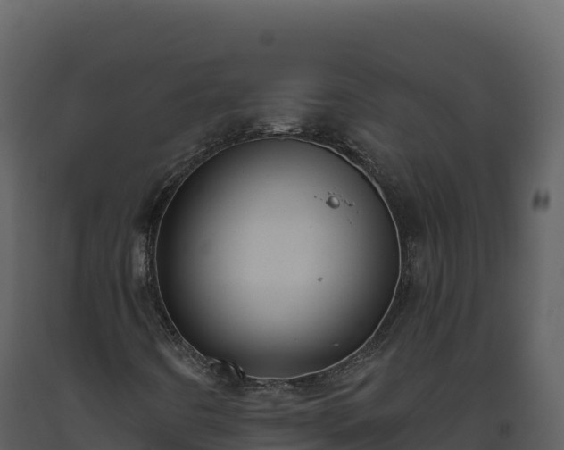 X0000093481442200710191156