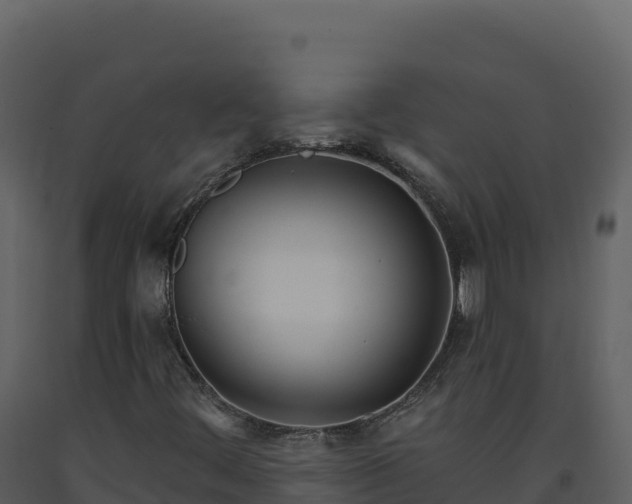 X0000093481444200710191156
