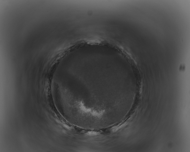 X0000093481445200710191156