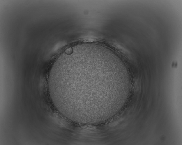 X0000093481446200710191156