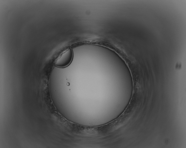 X0000093481447200710191156