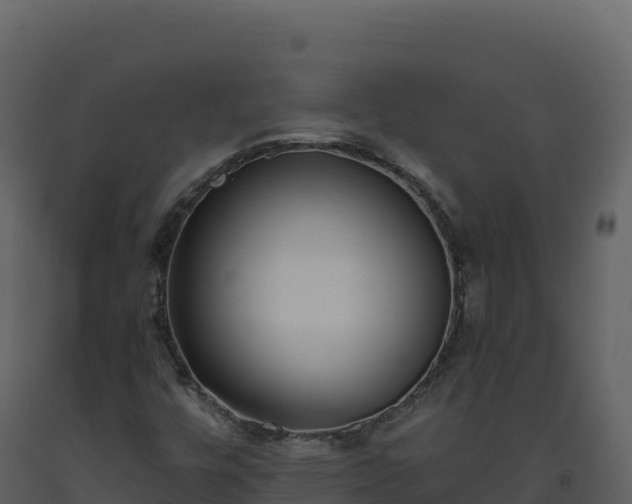 X0000093481448200710191156
