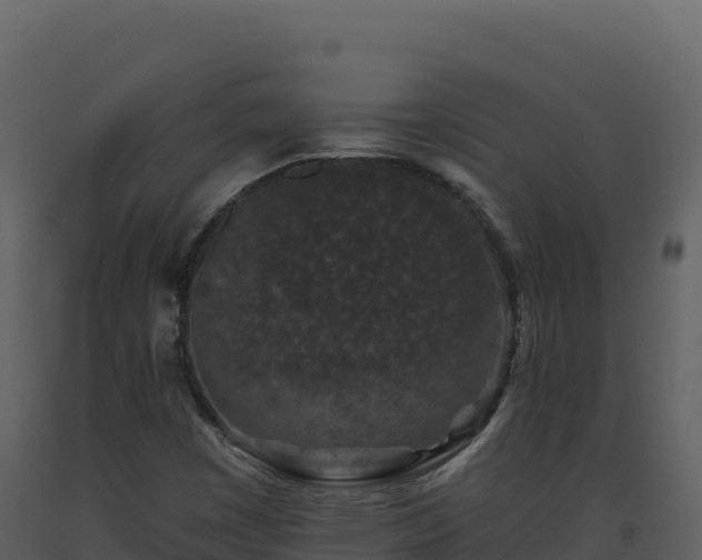 X0000093481449200710191156